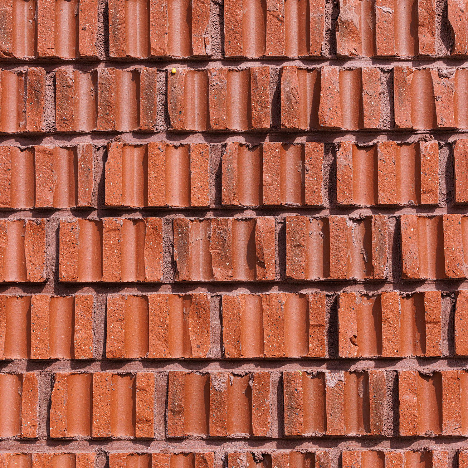 the ray 1525 north american split brick project by leong leong